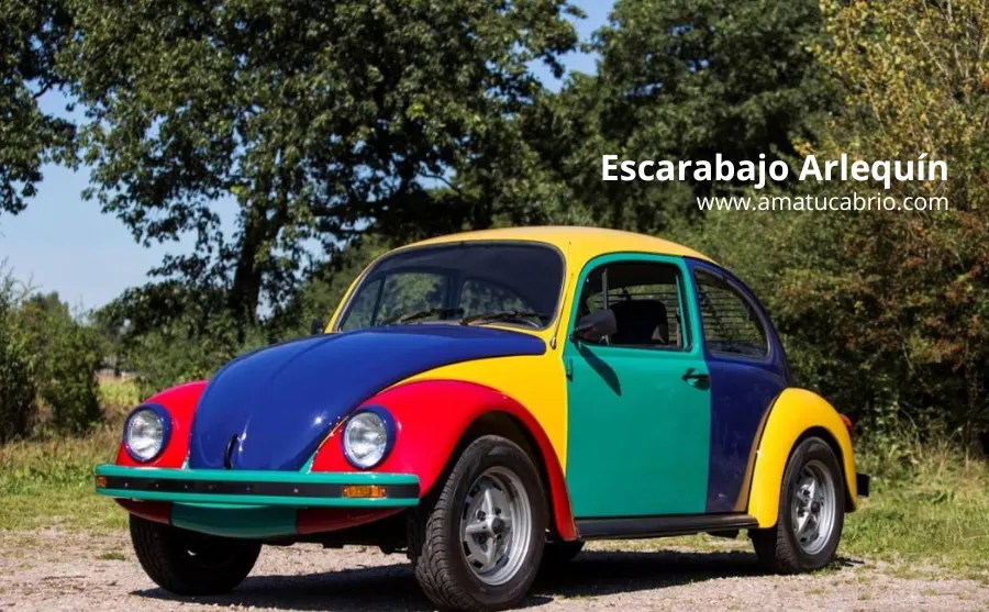 Beetle Arlequin